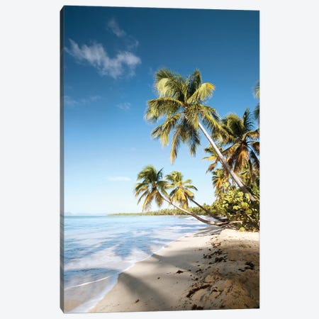 Les Salines Beach In Martinique Canvas Print #TEO593} by Matteo Colombo Canvas Artwork