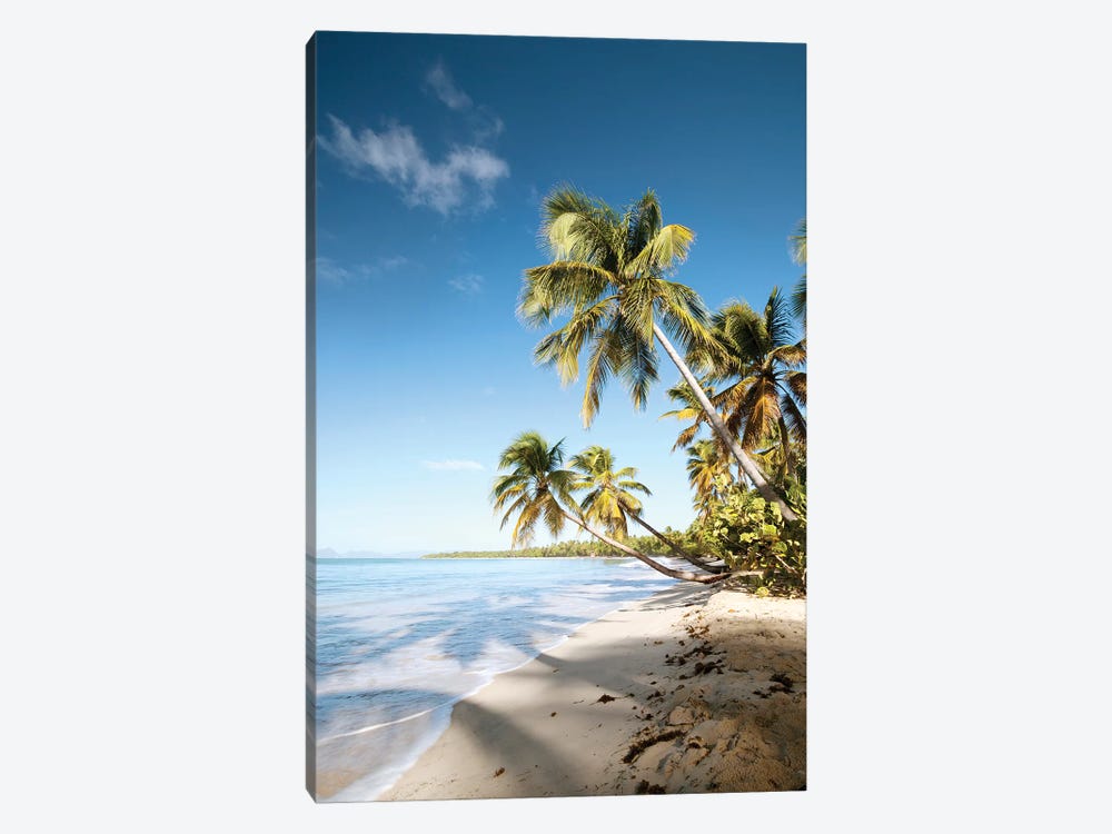 Les Salines Beach In Martinique by Matteo Colombo 1-piece Canvas Art