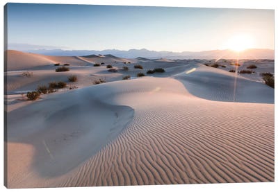 Mesquite Flat Sand Dunes At Sunrise, Death Valley, Death Valley National Park, California, USA Canvas Art Print - Death Valley National Park Art