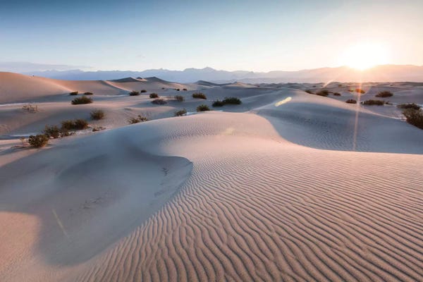 Mesquite Flat Sand Dunes At Sunrise, Death Valley, Death Valley National Park, California, USA