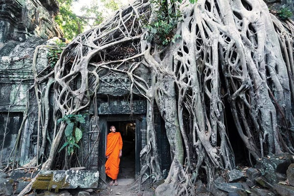 Southeast Asian Culture: Monk At Angkor Wat, Cambodia by Matteo Colombo