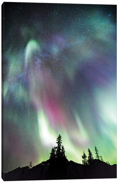 Northern Lights And Milky Way, Canada Canvas Art Print - Milky Way Galaxy Art