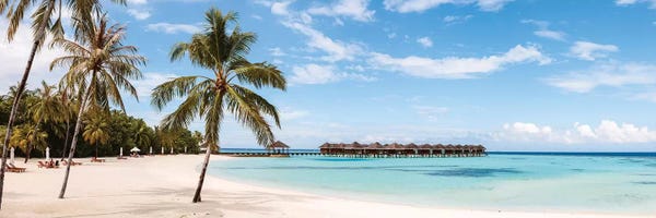 Maldives: Palm Fringed Beach, Maldives by Matteo Colombo