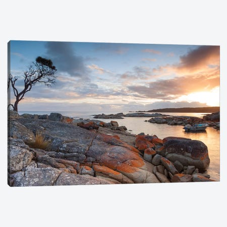 Sunrise Over The Coast Of Tasmania, Australia Canvas Print #TEO638} by Matteo Colombo Canvas Art Print