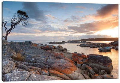Sunrise Over The Coast Of Tasmania, Australia Canvas Art Print