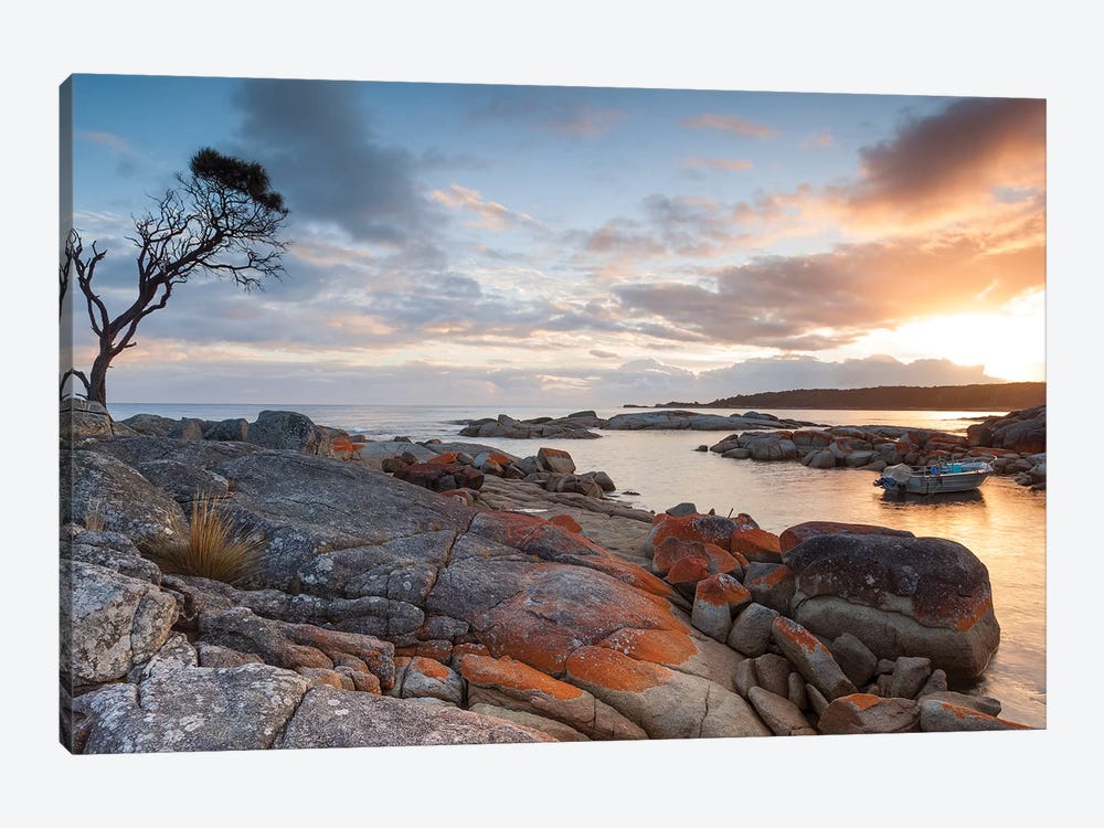 Sunrise Over The Coast Of Tasmania, Australia by Matteo Colombo 1-piece Canvas Art Print