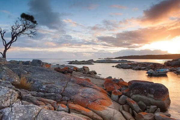 Tasmania: Sunrise Over The Coast Of Tasmania, Australia by Matteo Colombo