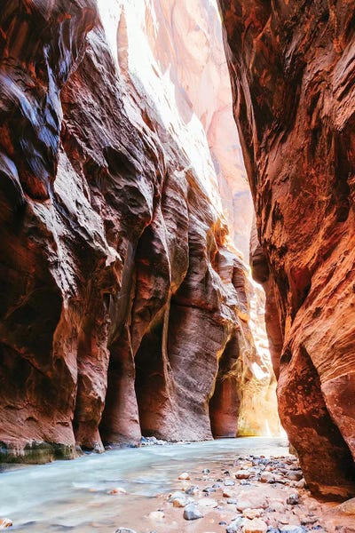 Take A Hike: The Narrows, Zion I by Matteo Colombo
