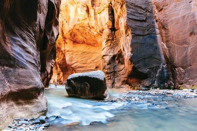 The Narrows, Zion II by Matteo Colombo art print