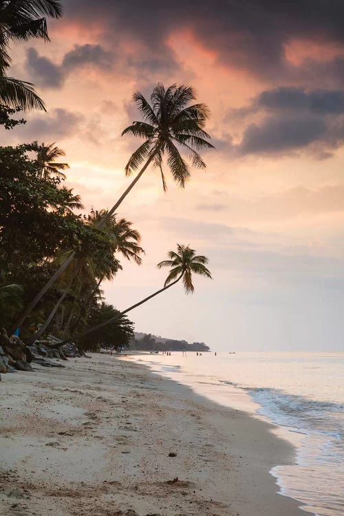 Tropical Sunset, Thailand