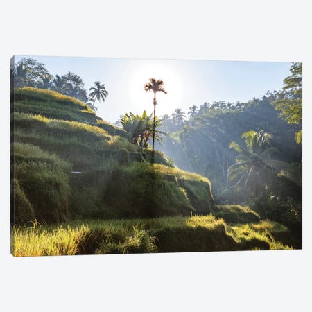 Sunrise In Bali Canvas Print #TEO732} by Matteo Colombo Canvas Art