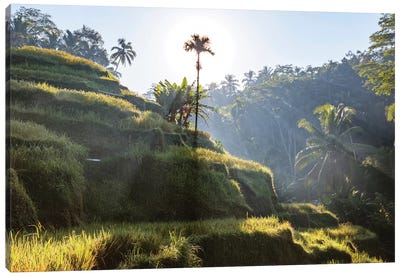 Sunrise In Bali Canvas Art Print - Indonesia Art