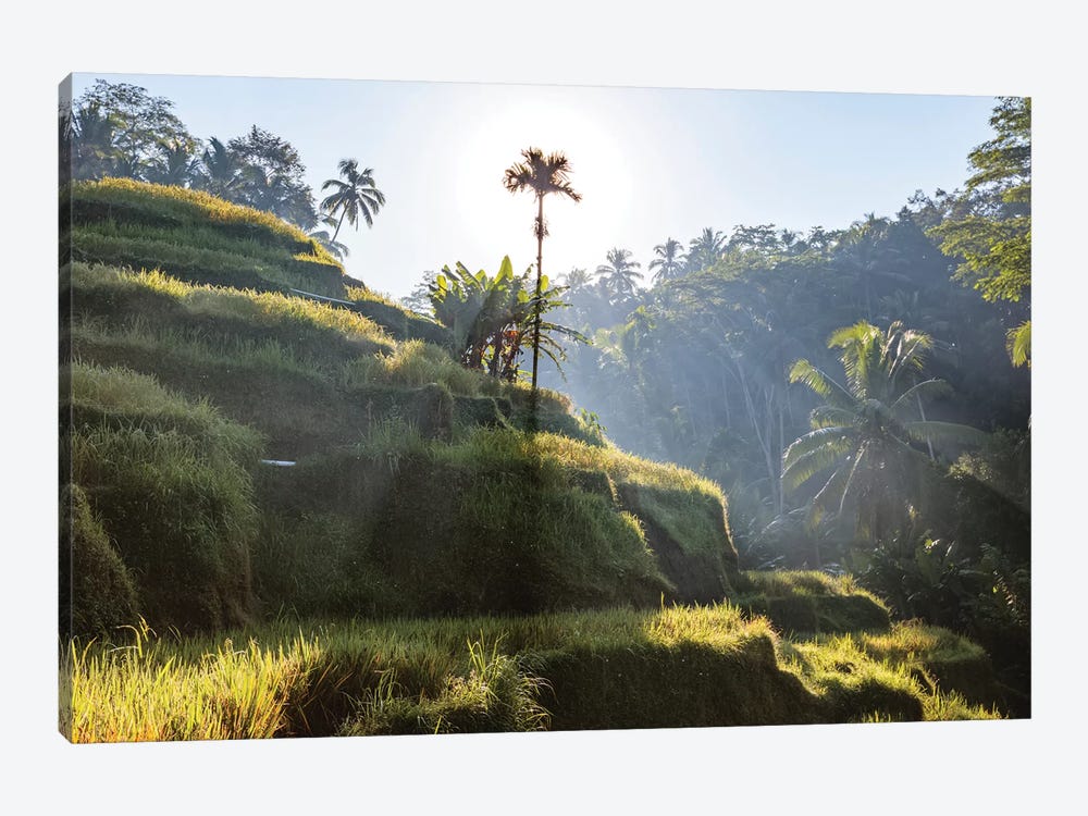 Sunrise In Bali by Matteo Colombo 1-piece Canvas Artwork
