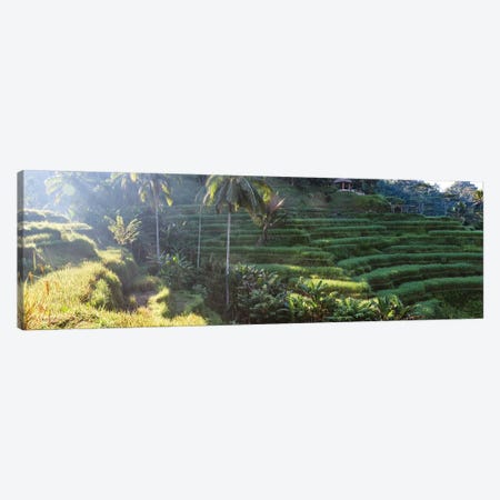 Rice Terraces Of Bali I Canvas Print #TEO733} by Matteo Colombo Canvas Artwork
