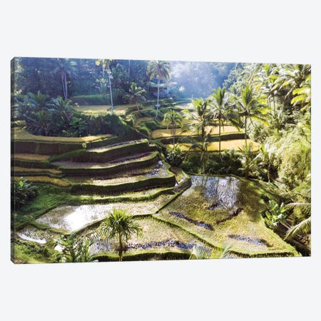 Rice Terraces Of Bali II Canvas Print #TEO734} by Matteo Colombo Canvas Print