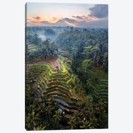 Rice Terraces Of Bali IV Canvas Print #TEO736} by Matteo Colombo Art Print