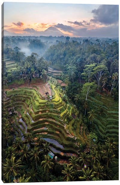 Rice Terraces Of Bali IV Canvas Art Print - Bali