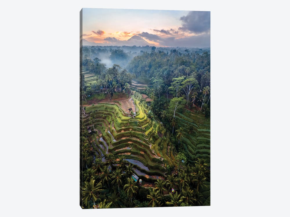 Rice Terraces Of Bali IV by Matteo Colombo 1-piece Canvas Artwork
