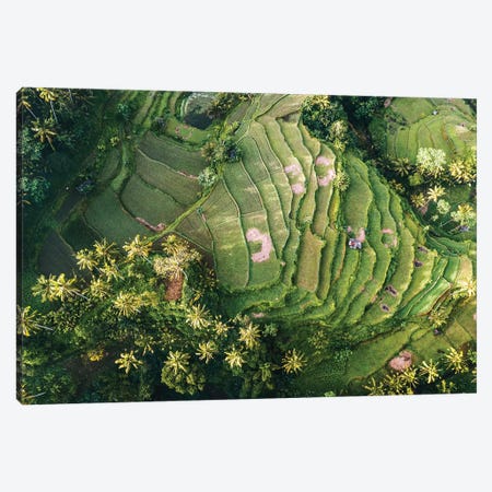 Bali Rice Paddies Aerial II Canvas Print #TEO738} by Matteo Colombo Canvas Art
