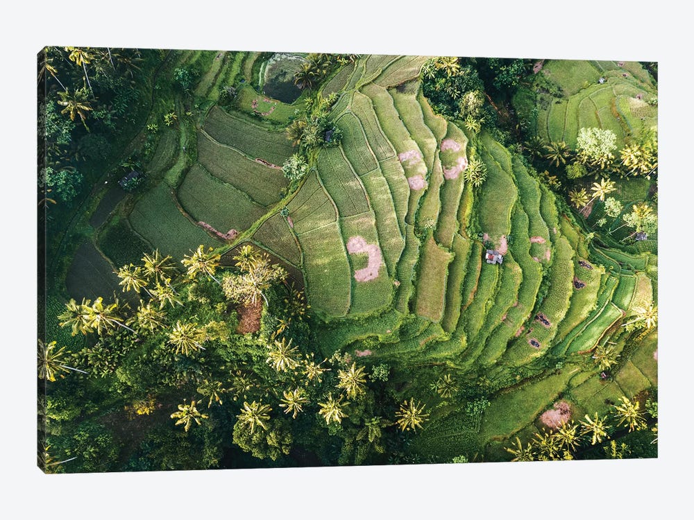 Bali Rice Paddies Aerial II by Matteo Colombo 1-piece Canvas Art