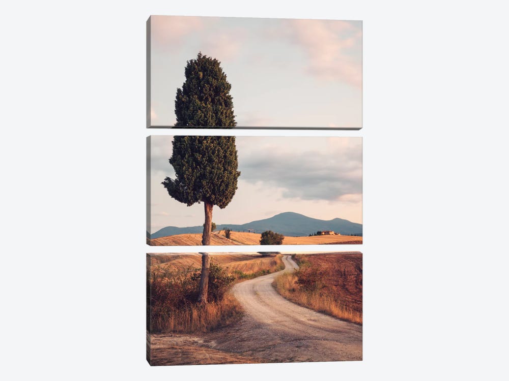 Rural Road With Cypress Tree, Tuscany, Italy by Matteo Colombo 3-piece Canvas Print