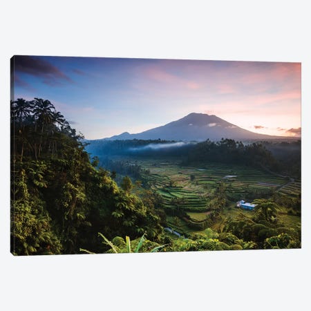 Volcano And Rice Fields, Bali I Canvas Print #TEO751} by Matteo Colombo Canvas Artwork