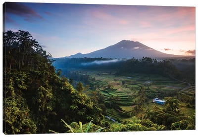 Volcano And Rice Fields, Bali I Canvas Art Print - Indonesia Art