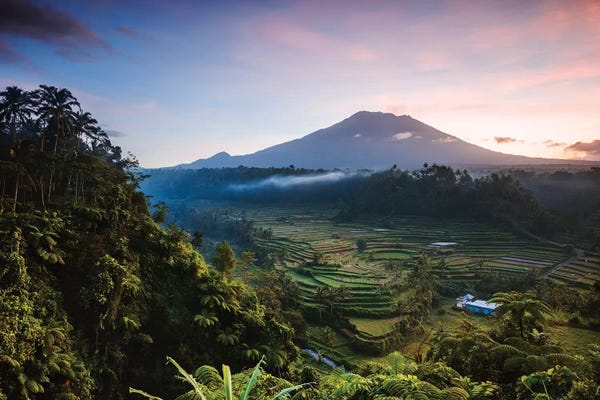 Indonesia: Volcano And Rice Fields, Bali I by Matteo Colombo