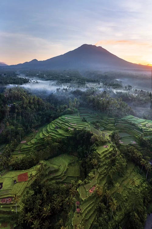 Volcano And Rice Fields, Bali II