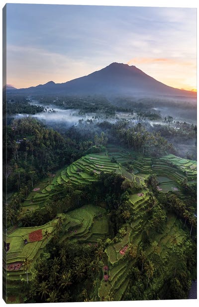 Volcano And Rice Fields, Bali II Canvas Art Print - Volcano Art