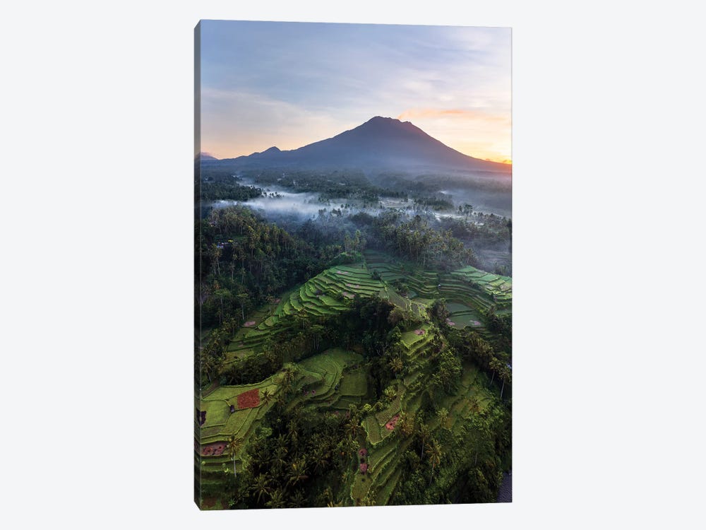 Volcano And Rice Fields, Bali II by Matteo Colombo 1-piece Canvas Art