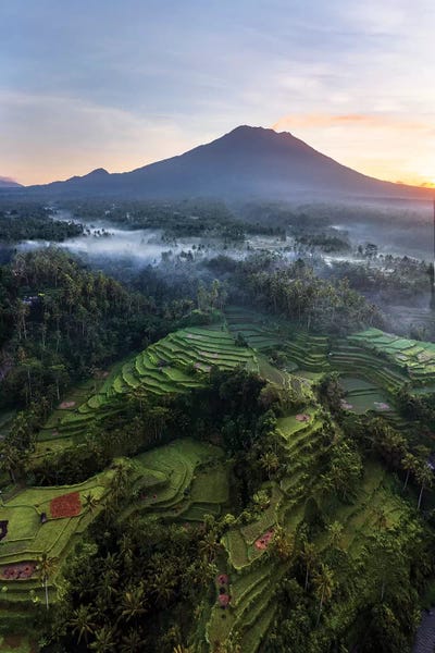 Balinese: Volcano And Rice Fields, Bali II by Matteo Colombo