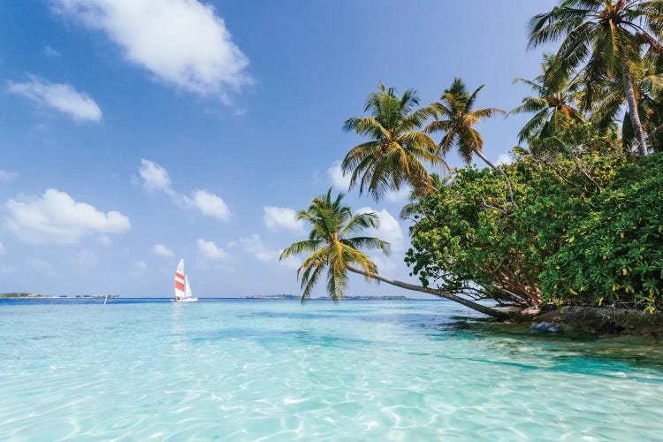 Sail Boat On Tropical Sea, Republic Of Maldives by Matteo Colombo wall art