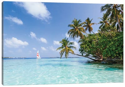 Sail Boat On Tropical Sea, Republic Of Maldives Canvas Art Print - Palm Tree Art