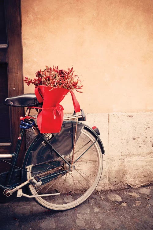 Bicycle In Rome