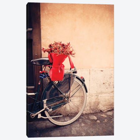 Bicycle In Rome Canvas Print #TEO763} by Matteo Colombo Art Print