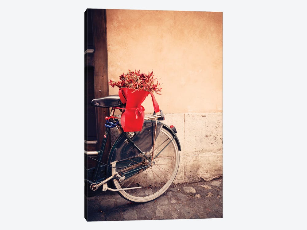 Bicycle In Rome by Matteo Colombo 1-piece Canvas Artwork