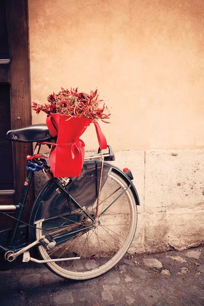 Bicycle In Rome