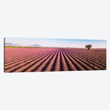 Provence Panorama Canvas Print #TEO766} by Matteo Colombo Canvas Wall Art