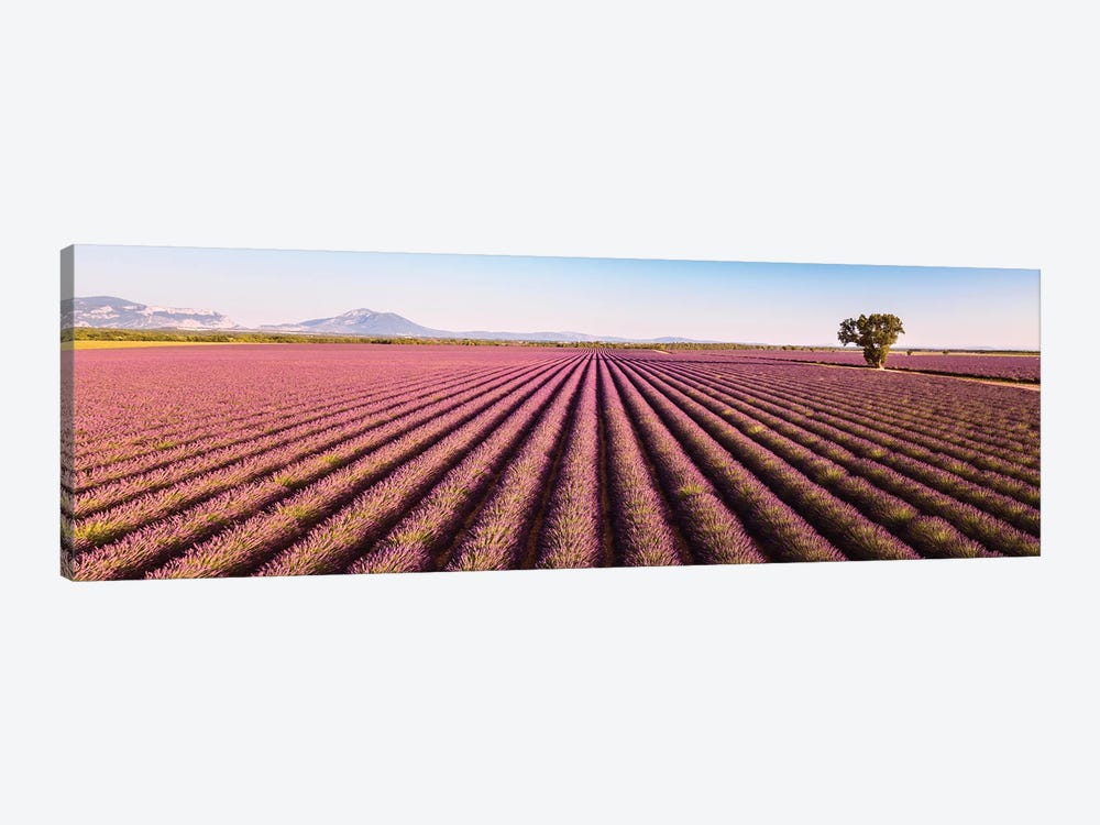Provence Panorama by Matteo Colombo 1-piece Canvas Art Print
