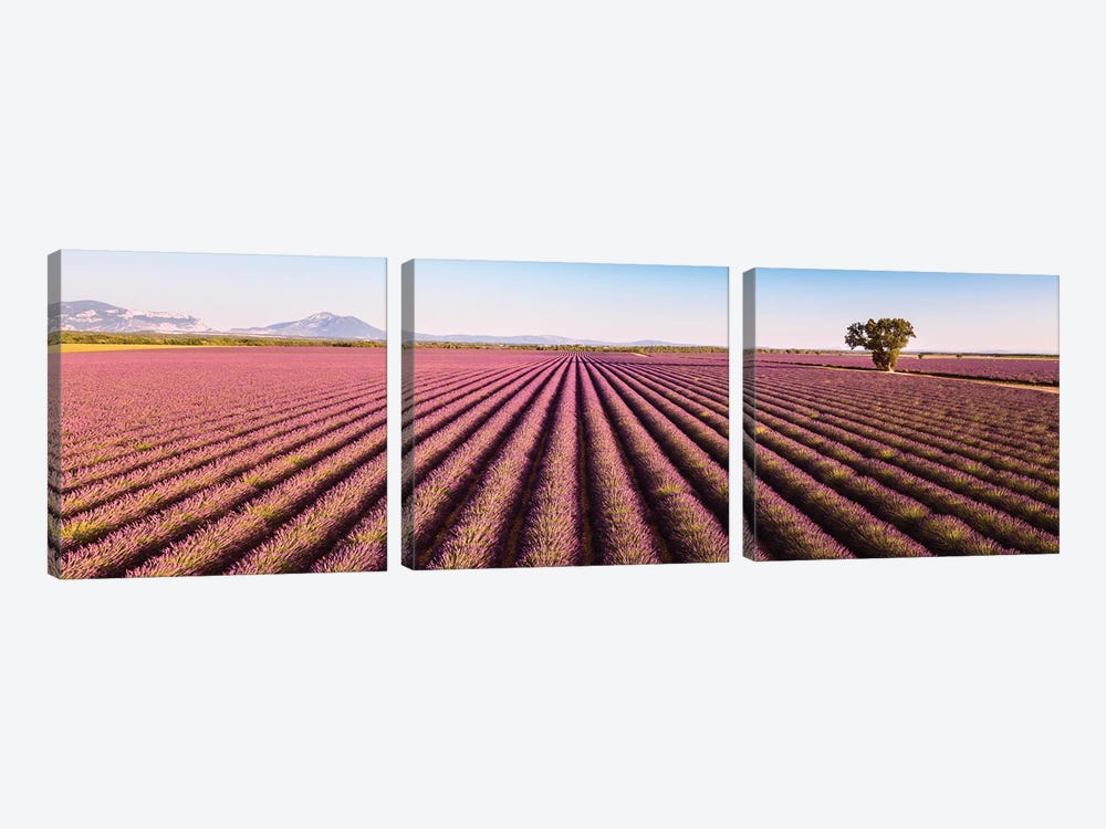 Provence Panorama by Matteo Colombo 3-piece Art Print