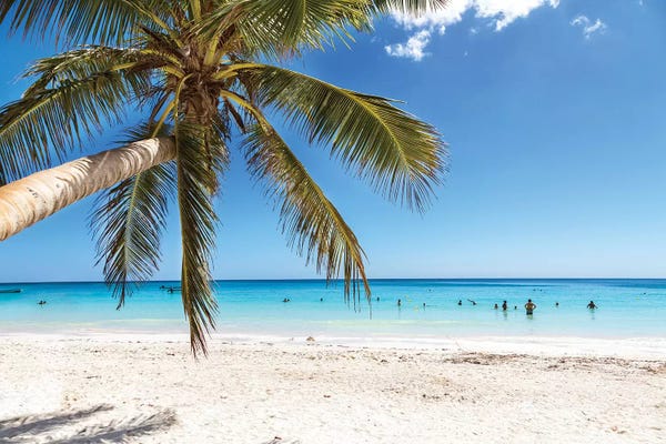Mexico: Tulum Beach, Mexico by Matteo Colombo