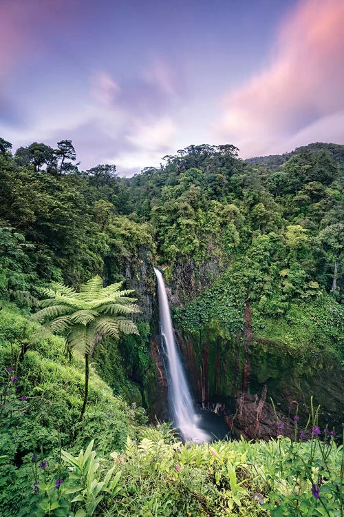 Waterfall At Sunset, Costa Rica by Matteo Colombo wall art