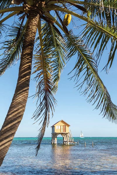 Belize: Caribbean Sea, Belize by Matteo Colombo