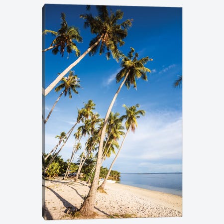 Palm Fringed Beach, Philippines Canvas Print #TEO800} by Matteo Colombo Canvas Wall Art