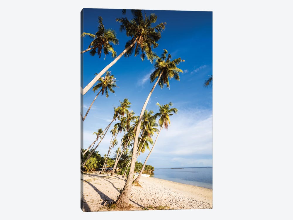 Palm Fringed Beach, Philippines by Matteo Colombo 1-piece Canvas Print