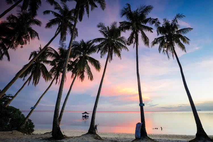 Beach Sunset, Philippines by Matteo Colombo wall art