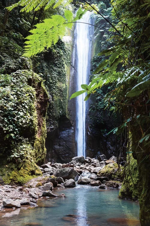 Waterfall In The Jungle, Philippines