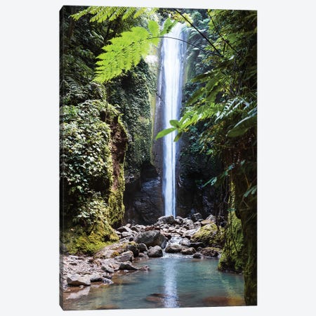 Waterfall In The Jungle, Philippines Canvas Print #TEO804} by Matteo Colombo Art Print