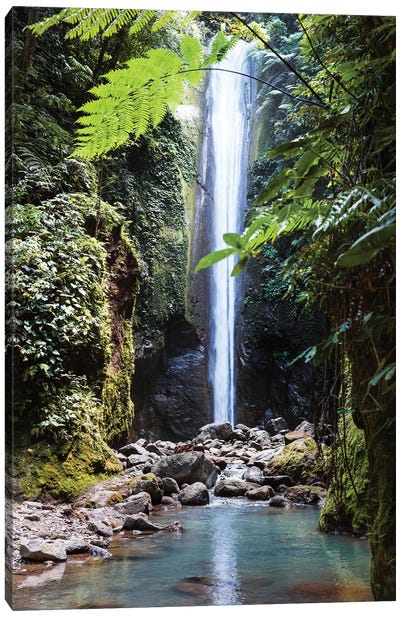 Waterfall In The Jungle, Philippines Canvas Art Print - Philippines Art
